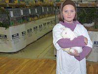 Rassekaninchenschau Kyffhäuserkreis Bild: Rassekaninchenschau Kyffhäuserkreis