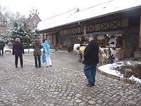 Rassekaninchenschau Kyffhäuserkreis Bild: Rassekaninchenschau Kyffhäuserkreis
