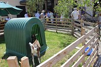 Bild: M&uuml;hlentag in Greu&szlig;en