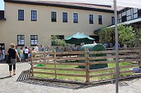 Bild: M&uuml;hlentag in Greu&szlig;en
