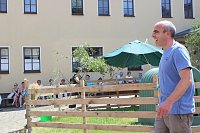 Bild: M&uuml;hlentag in Greu&szlig;en