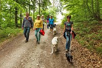 Der Tag des Hundes... Bild: Der Tag des Hundes...