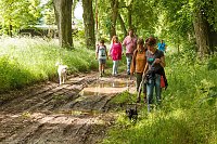 Der Tag des Hundes... Bild: Der Tag des Hundes...
