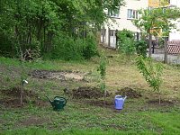 Schulgarten eingeweiht Bild: Schulgarten eingeweiht