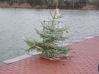 Weihnachtstauchen im Bebraer Teich Bild: Weihnachtstauchen im Bebraer Teich