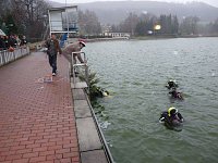 Weihnachtstauchen im Bebraer Teich Bild: Weihnachtstauchen im Bebraer Teich