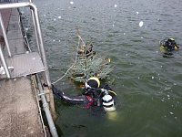 Weihnachtstauchen im Bebraer Teich Bild: Weihnachtstauchen im Bebraer Teich