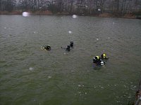 Weihnachtstauchen im Bebraer Teich Bild: Weihnachtstauchen im Bebraer Teich