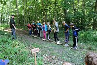 Bild: Waldjugendspiele am Rathsfeld