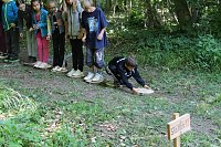 Bild: Waldjugendspiele am Rathsfeld