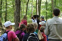 Bild: Waldjugendspiele am Rathsfeld