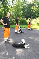 Bild: Rettungshundestaffel begeisterte Alterskameraden.