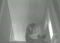 Polizei fahndet nach Unbekannter Bild: Polizei fahndet nach Unbekannter