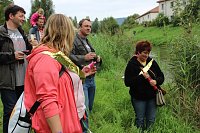 Besuchermagnet Wipperbootrennen Bild: Besuchermagnet Wipperbootrennen
