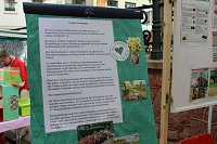 Besuch beim Pflanzenmarkt lohnt Bild: Besuch beim Pflanzenmarkt lohnt