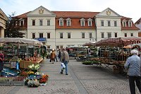 Besuch beim Pflanzenmarkt lohnt Bild: Besuch beim Pflanzenmarkt lohnt