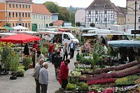 Besuch beim Pflanzenmarkt lohnt Bild: Besuch beim Pflanzenmarkt lohnt