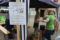 Besuch beim Pflanzenmarkt lohnt Bild: Besuch beim Pflanzenmarkt lohnt