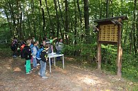 Bild: Waldjugendspiele gestartet