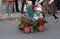 Bauernheer zog durch Bad Frankenhausen Bild: Bauernheer zog durch Bad Frankenhausen