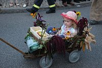 Bauernheer zog durch Bad Frankenhausen Bild: Bauernheer zog durch Bad Frankenhausen