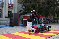 Bild: Das erste Wildwechselfestival wurde heute in Nordhausen er&ouml;ffnet