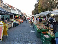 Bild: Zwiebeln &uuml;ber Zwiebeln