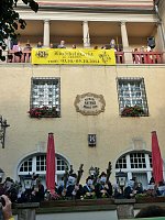 Bild: Zwiebeln &uuml;ber Zwiebeln