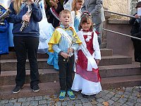 Bild: Zwiebeln &uuml;ber Zwiebeln