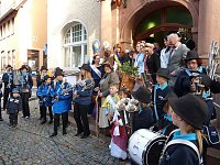 Bild: Zwiebeln &uuml;ber Zwiebeln