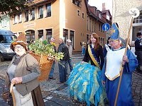 Bild: Zwiebeln &uuml;ber Zwiebeln