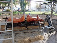 Bild: Zwiebeln &uuml;ber Zwiebeln