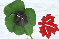 Bild: Buntes Herbstfest im WB 4