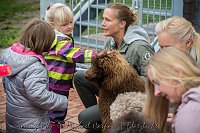 Bild: Therapiehunde unterwegs