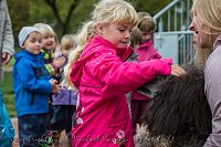 Bild: Therapiehunde unterwegs