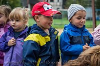 Bild: Therapiehunde unterwegs