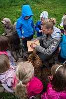 Bild: Therapiehunde unterwegs