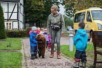 Bild: Therapiehunde unterwegs