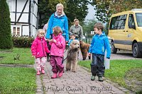 Bild: Therapiehunde unterwegs
