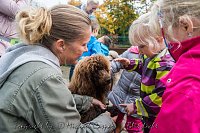 Bild: Therapiehunde unterwegs