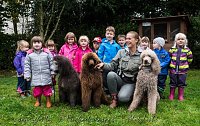 Bild: Therapiehunde unterwegs