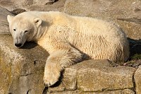 Besuch im Zoo am Meer Bild: Besuch im Zoo am Meer