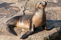 Besuch im Zoo am Meer Bild: Besuch im Zoo am Meer