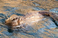 Besuch im Zoo am Meer Bild: Besuch im Zoo am Meer