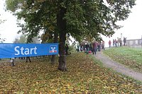 Stadtparklauf in Sondershausen Bild: Stadtparklauf in Sondershausen