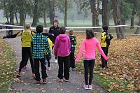 Stadtparklauf in Sondershausen Bild: Stadtparklauf in Sondershausen