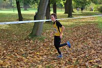 Stadtparklauf in Sondershausen Bild: Stadtparklauf in Sondershausen