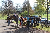 Bild: Massenandrang an der Barbarossah&ouml;hle