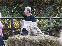 Bild: Herbstfest an der Barbarossa-H&ouml;hle