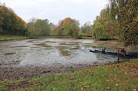 Bild: Fische umgesetzt